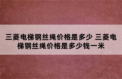 三菱电梯钢丝绳价格是多少 三菱电梯钢丝绳价格是多少钱一米